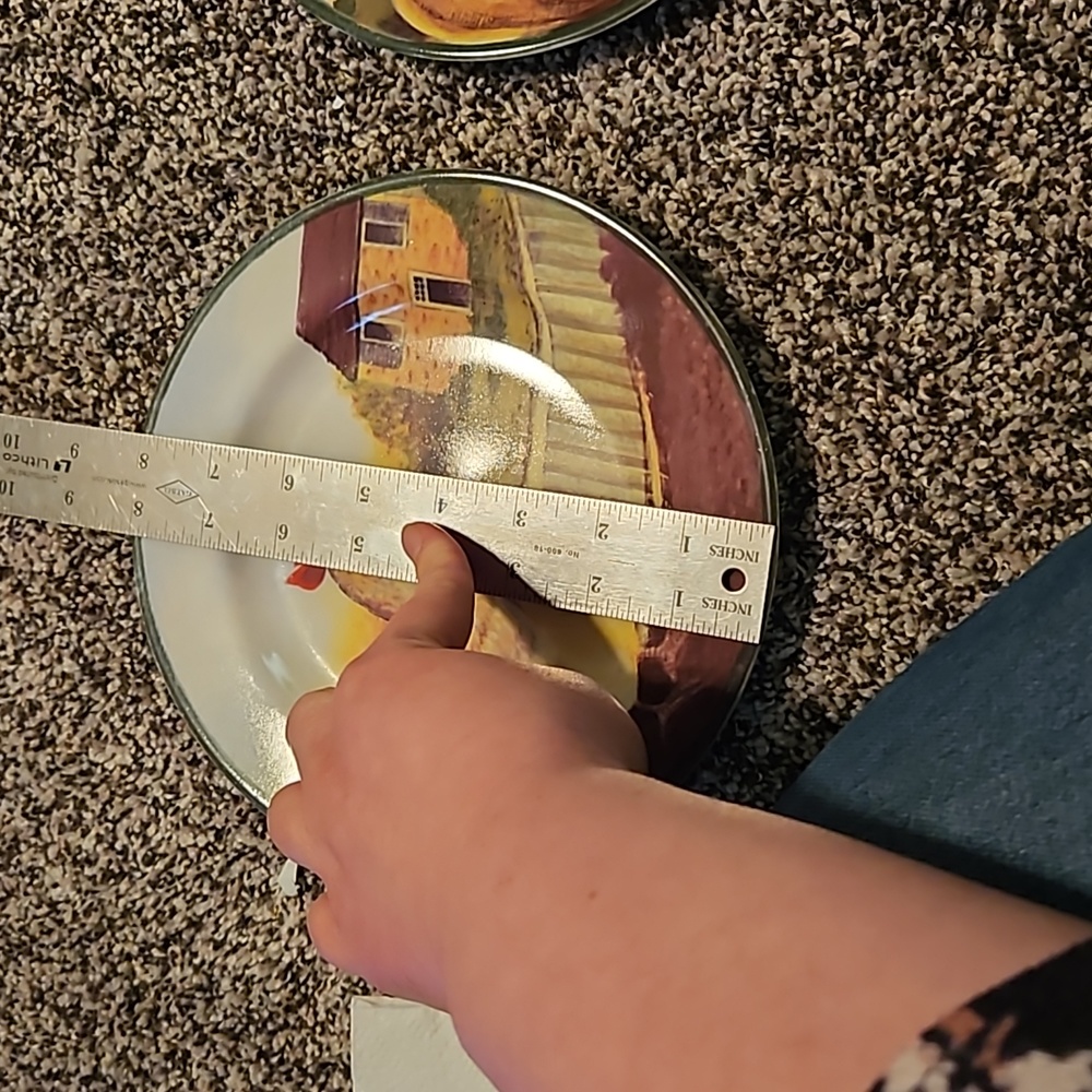 Block by Gear Country Farm Roster 8 inch plates set of 2 - Picture 5 of 5